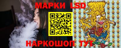 прущие грибы Сланцы