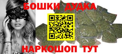 прущие грибы Сланцы