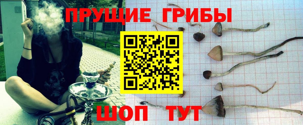 Нерюнгри  Галлюциногенные грибы Magic Shrooms  Вход с VPN 